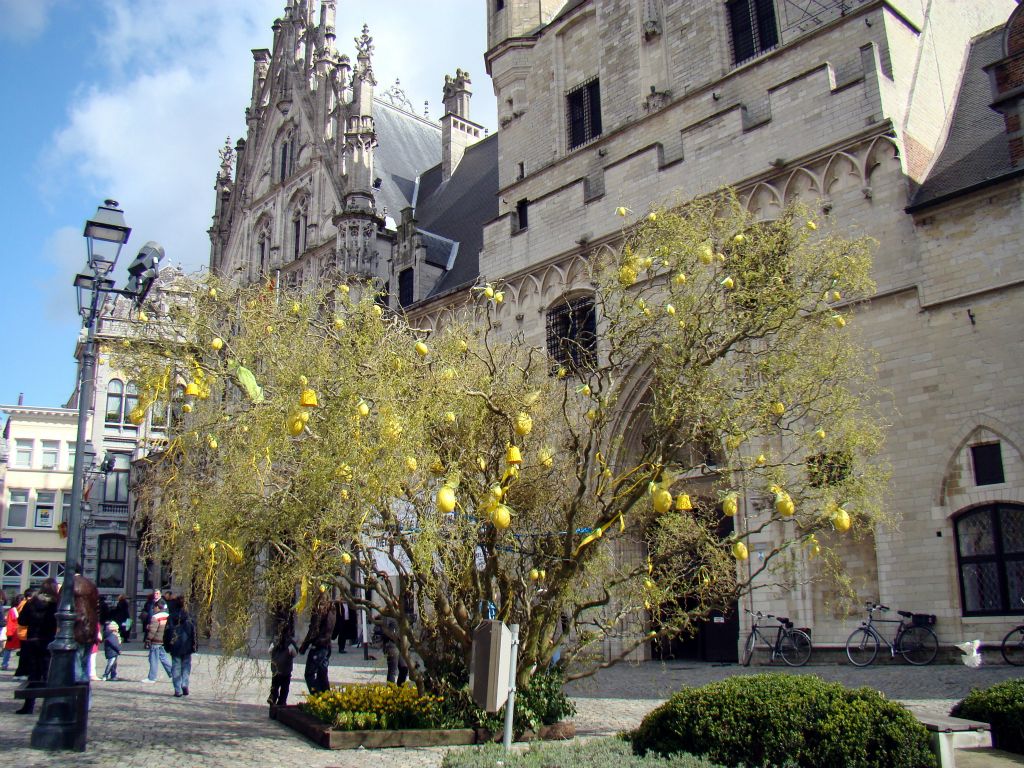They think of absolutely everything in Belgium. A tree covered in Easter Eggs in front of the Town Hall. Awesome.