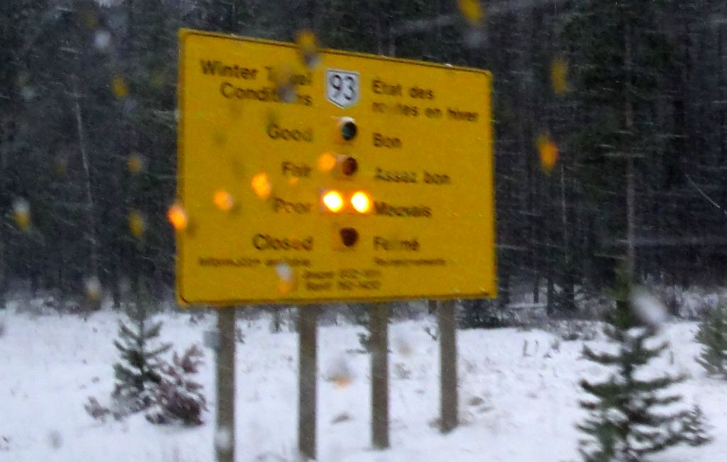 As we drove onto the Icefields Parkway to start our 150 mile drive to Lake Louise, the status board was showing double yellow, i.e. poor conditions, travel not recommended. Unfortunately we'd pre-payed for our room at the enormously expensive Fairmont Chateaux Lake Louise, so we were not inclined to not turn up.
