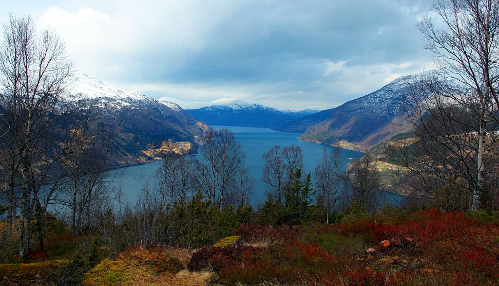 The views of the fjord are excellent, albeit a little obscured by the trees up here.