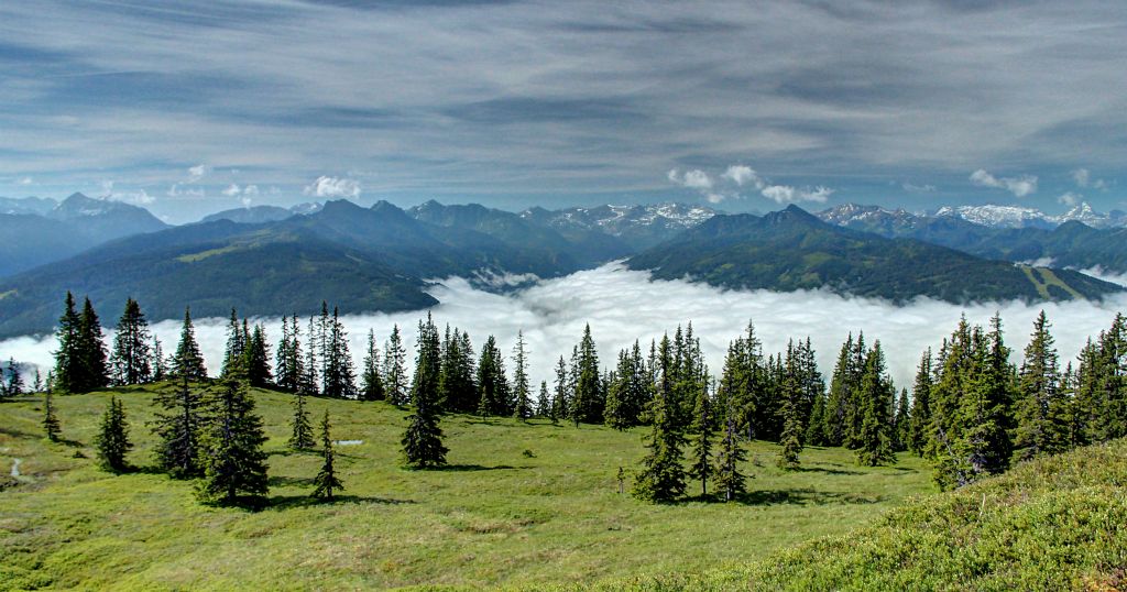 And this is what I rushed up here to see - a valley full of clouds.