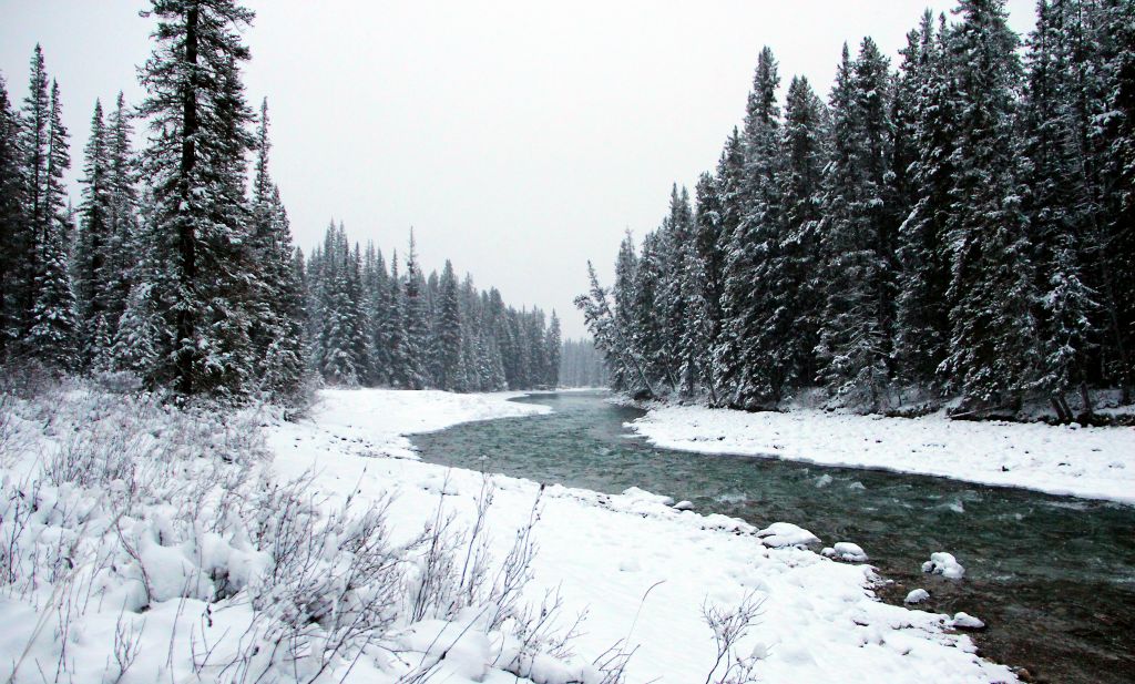 A couple of hundred yards beyond the railway line is the Athabasca River.