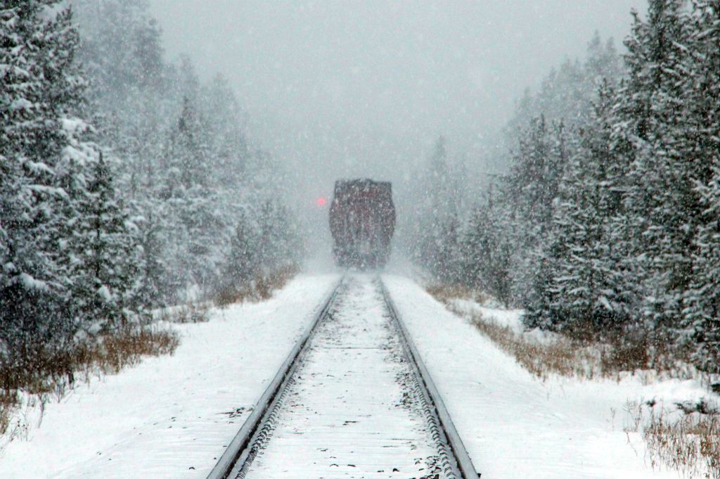 After a couple of minutes, the train passed and the last carriage rapidly disappeared into the swirling snow.