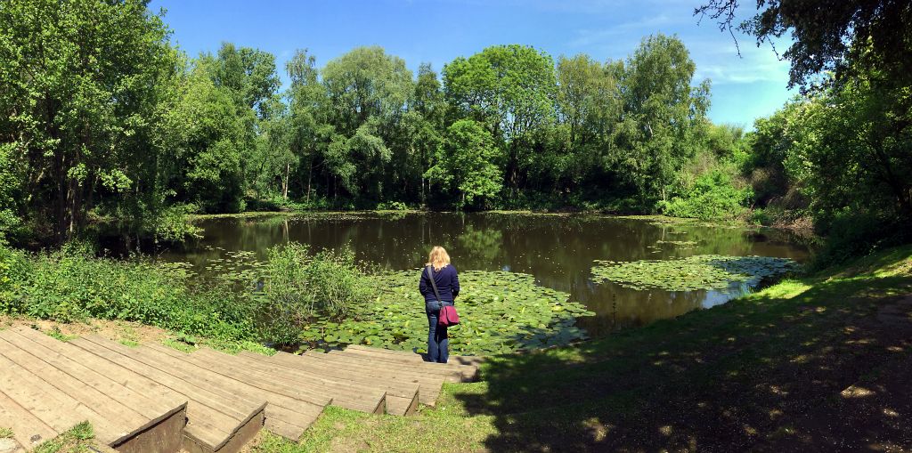 A mini phone panorama of the Spanbroekmolen crater.