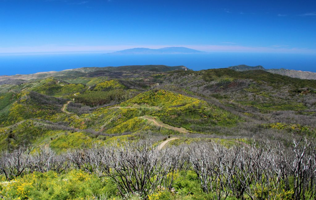 A view of La Palma taken with my SLR.