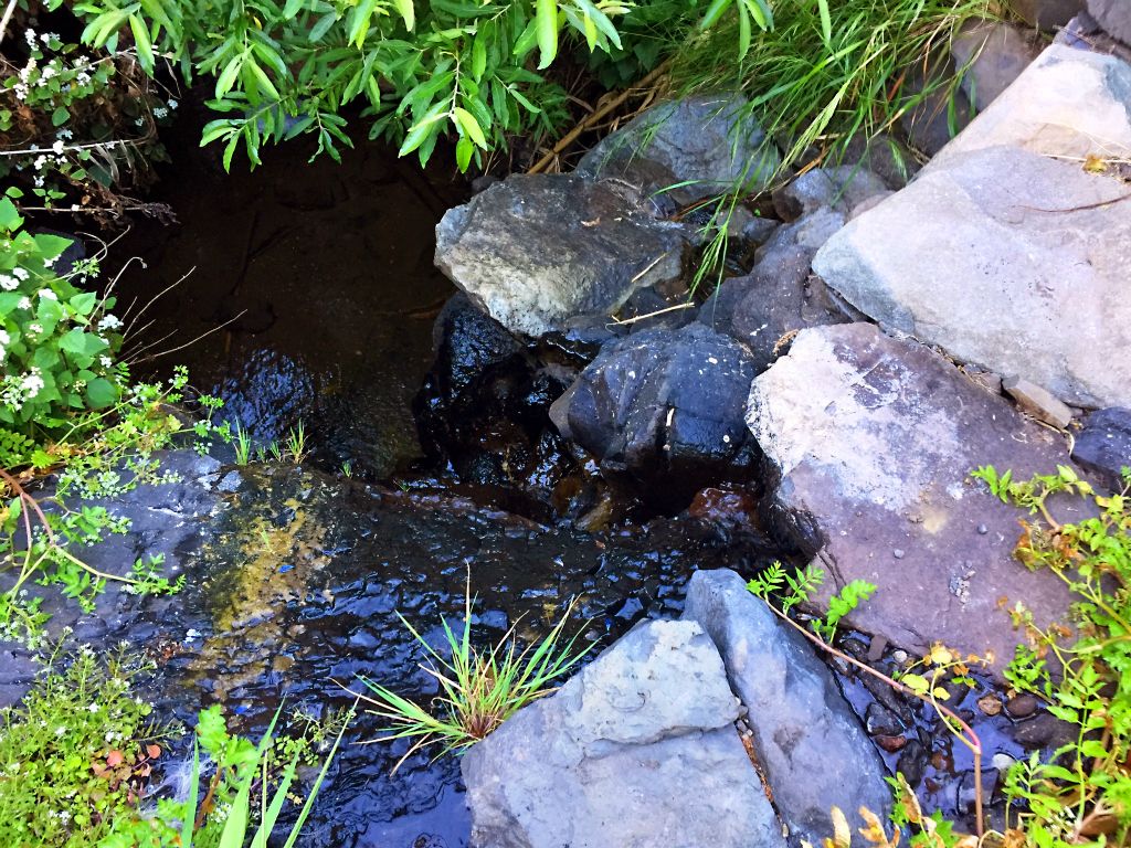 A rare sight indeed on La Gomera - running water.