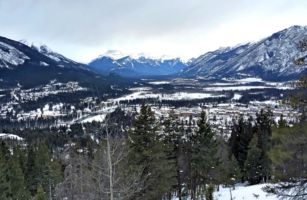 Despite Tunnel Mountain being right next to Banff, the views of Banff from the trail are fairly limited. Here you can just about see Banff through the trees.