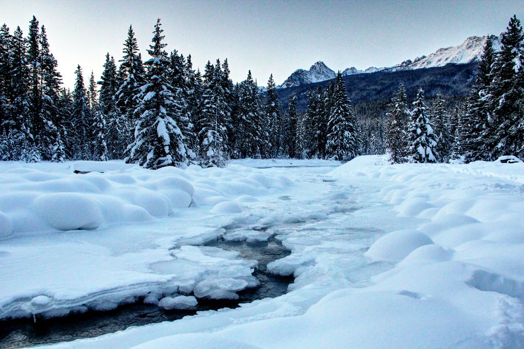 A view of the almost frozen over Baker Creek just before sunrise.