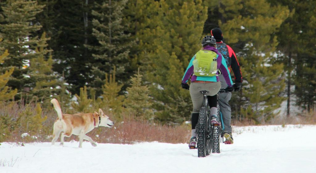 This couple on their fat bikes were the only other people we saw all day. Good plan to bring a dog to distract the bears while you escape. I should have thought of that.