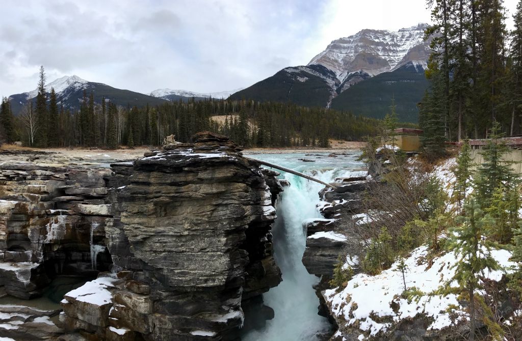 We popped in for a look at the Athabasca Falls, which were still decidedly unfrozen in the positively mild weather.