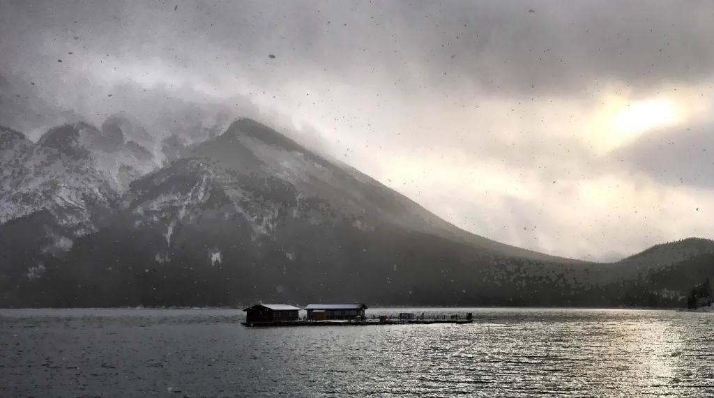 We went for a drive up to Lake Minnewanka, where for a while it was snowing heavily.