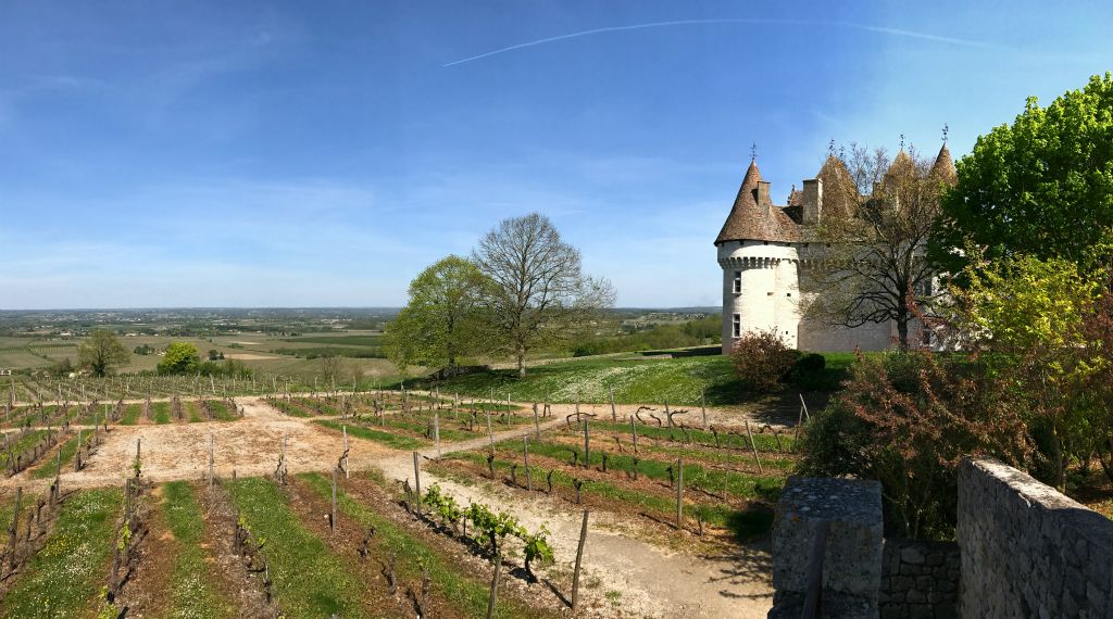 The chateau is set in a commanding posistion, looking out over the vineyards to the North.
