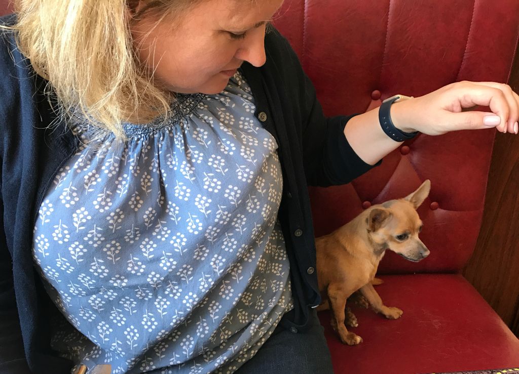 We were joined for lunch by this hilarious tiny dog, whose name is apparently Lox and who is prone to letting off the occasionally really smelly fart. At least that's Judith's story and she's sticking ot it.