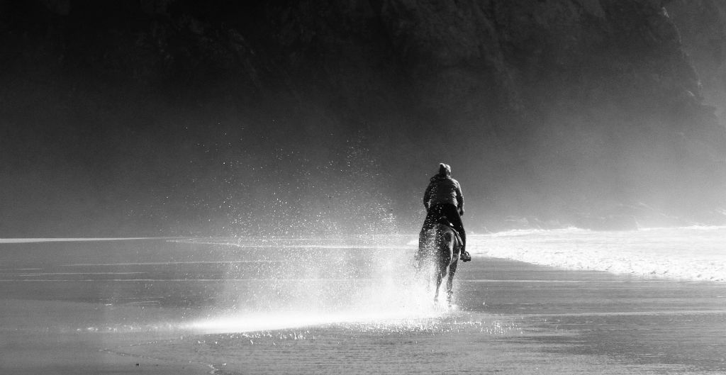 This lady was galloping her horse up and down the beach at high speed. I think this is one of my favourite photos of the week.