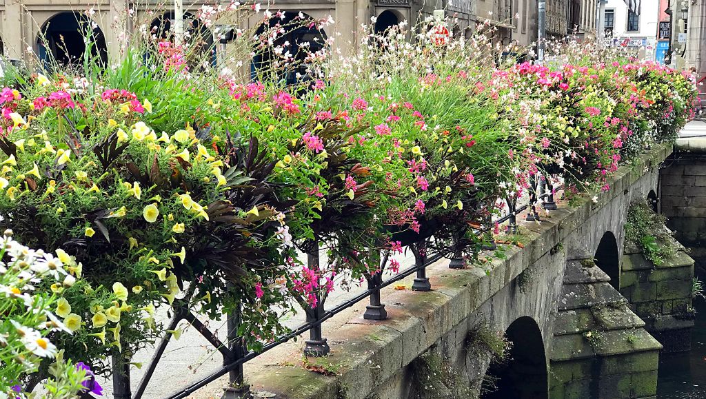 Here's a closer look at some of the flowers decorating one of the bridges.
