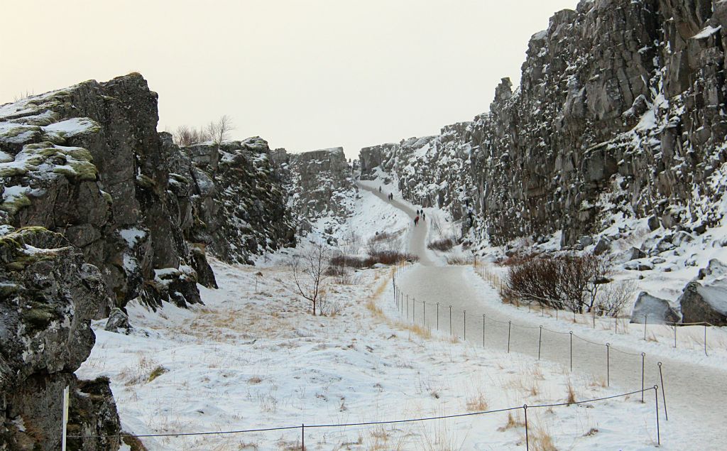 Iceland is the only place where the Mid-Altantic Rift is above sea level. That's the join between the North American tectonic plate (on the left) and the Eurasian tectonic plate (on the right). And at Thingvellir you can walk down the gap between the two! Although I'm not sure why the gap isn't full of lava.There were a very lot more people at Thingvellir than my carefully captured photo might lead you to believe there were.