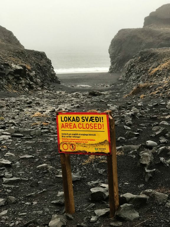 Almost immediately after leaving Skogafoss we drove back into the rain, which continued all the way to Kirkjufjara Beach, which, as you can see from the photo, was closed.