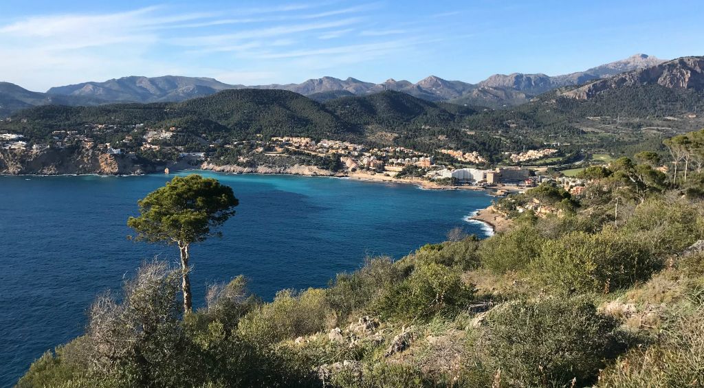 As Cap Andritxol is quite high (maybe 300 feet or so), there were some fabulous views back down the bay to Camp de Mar. I managed to walk all the way to the end, which is tougher than it sounds as the trail was rubbish.