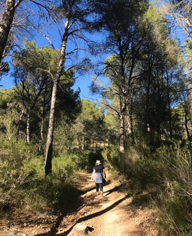 As it was only late afternoon when we got back to the resort we decided to go for a walk to the nearby(ish) beach of Cala Blanca. Here's Judith on the trail to Cala Blanca.