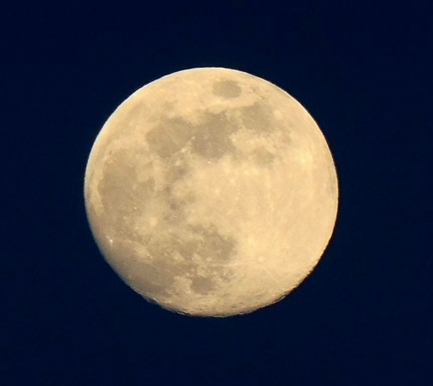 Still testing the capabilities of my new camera. It seems to have done a pretty good job of zooming in on the moon. There even seem to be a few craters visible along the bottom edge. I'll have to try that again when it's only a half moon or so.