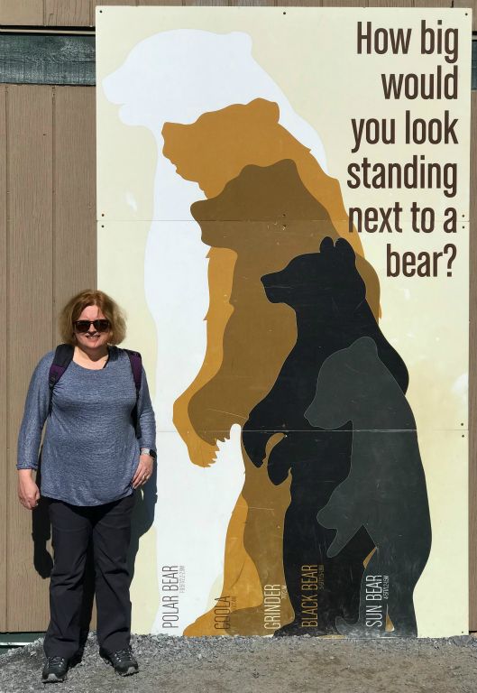 So if we see any bears, this is how big they'll be. Fortunately we're extremely unlikely to see any Polar Bears.