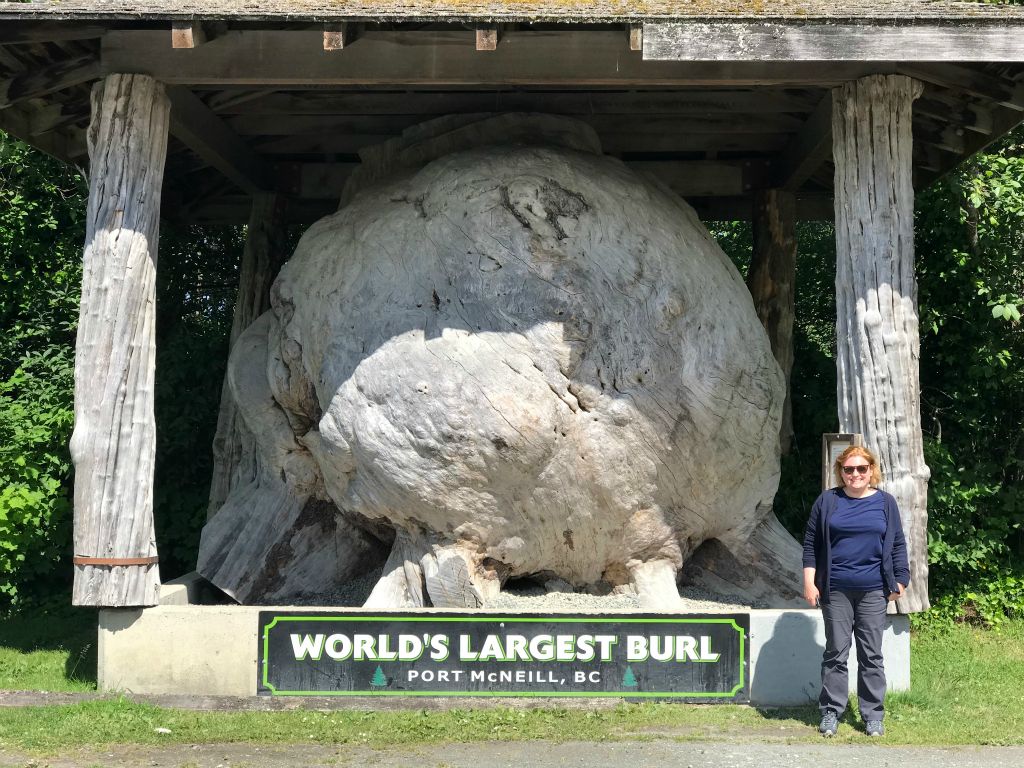 So here it is. Basically a massive tree tumor. The biggest one in the world.So having exhausted our options in Port McNeill we headed for our hotel in Port Hardy.