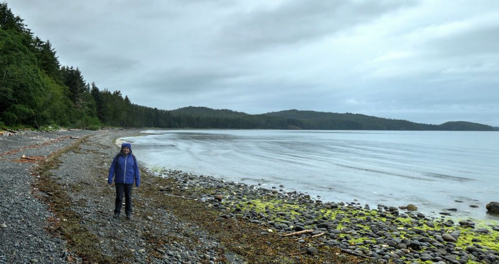 We then headed for the Tex Lyon Trail, but the weather wasn't looking very promising and the trail looked rather overgrown, with the usual warning about bears in the area. So we headed for the nearby Storey's Beach instead and had a walk along that.