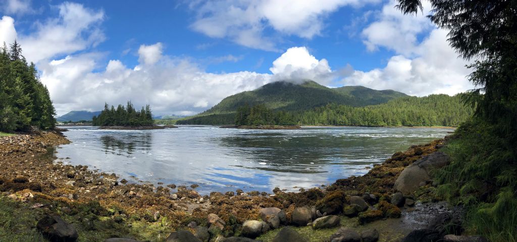As you can see, the sun had come out, which is apparently a bit of a treat around here as Prince Rupert is one of the wettest places in Canada, with an average 260 rainy days each year.