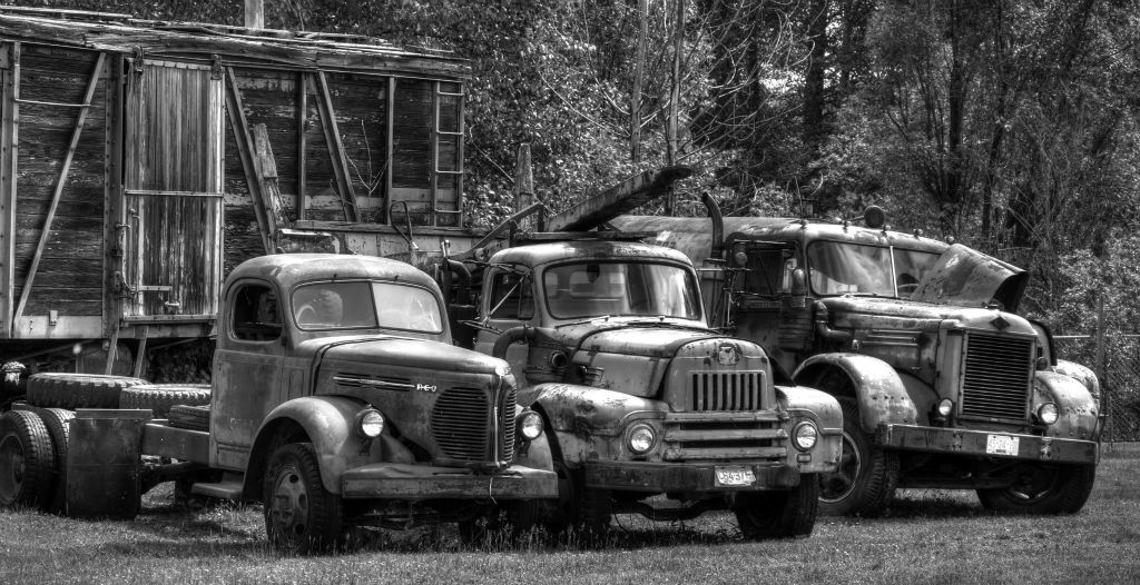 The same old trucks in black and white, which seems sort of appropriate given their state of decay.