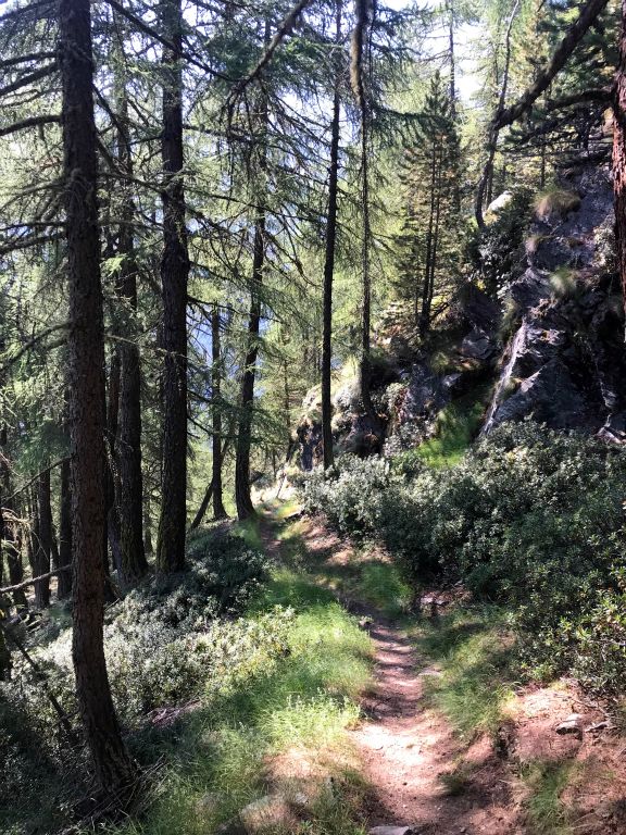 The first couple of hours of the walk were through fairly dense tree cover, so even though this side of the valley was in full sun, the trail was not too hot, which was a big relief.