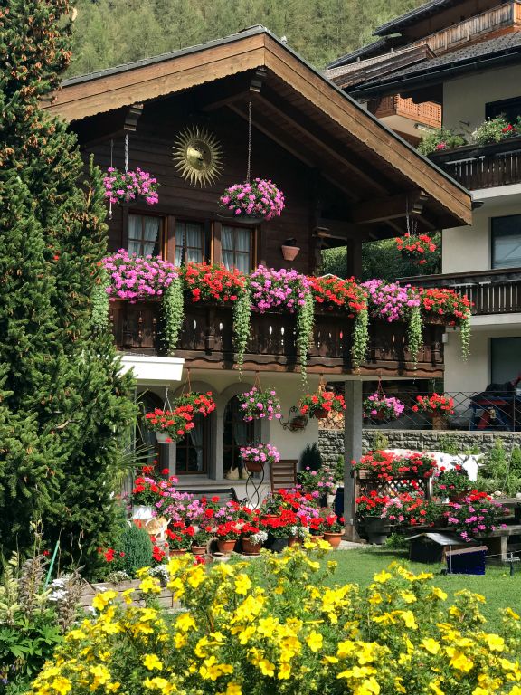 A garden full of flowers in Zermatt.