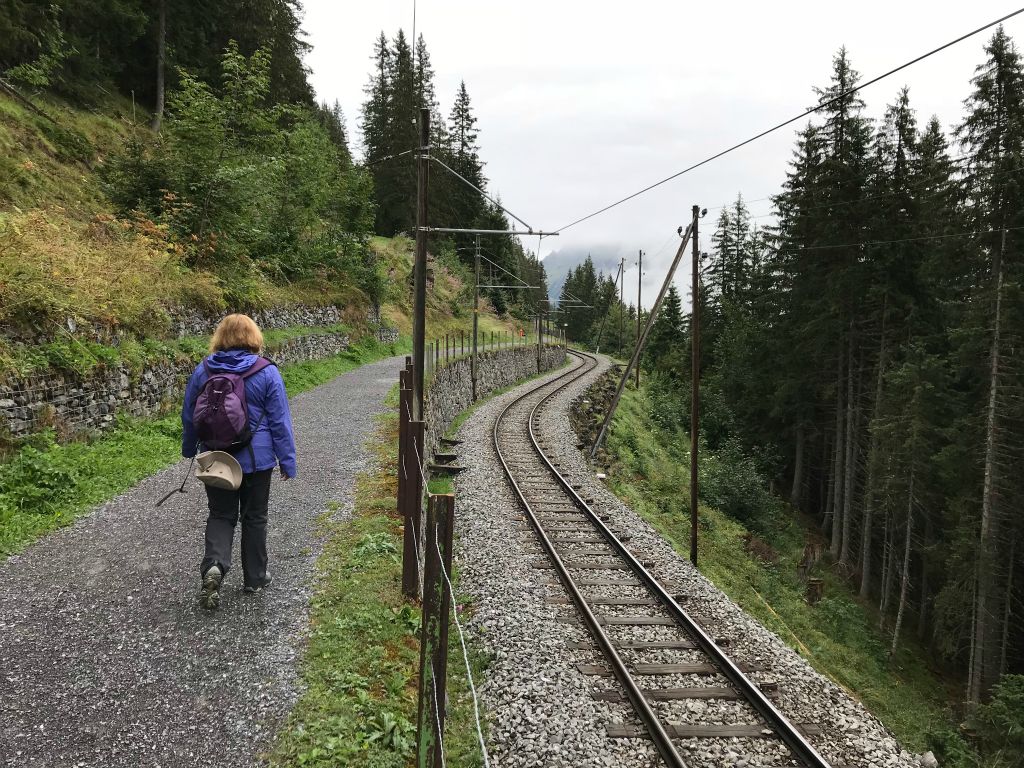 We decided to walk the trail that follows the train track from Murren to Grutschalp.