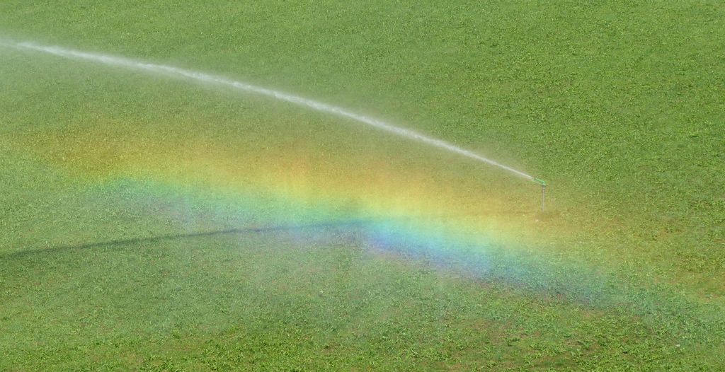 A rainbow in the spray from a sprinkler watering a field.By the time we got back to Tasch nowhere was serving food (with it being 4pm). So we got the train back to Zermatt, where we went to the Brown Cow Pub again because hardly anywhere was serving food in Zermatt either.