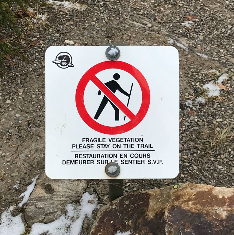 There were loads of these signs all along the paths around the lake and virtually everyone was ignoring them and just stomping wherever they fancied to get the best photo for their social media.