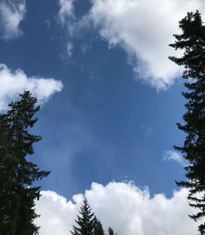 ...and yet the actual sky overhead was blue! What's the use of a forecast if it can't even tell you what's actually happening right now?!?! Good grief.