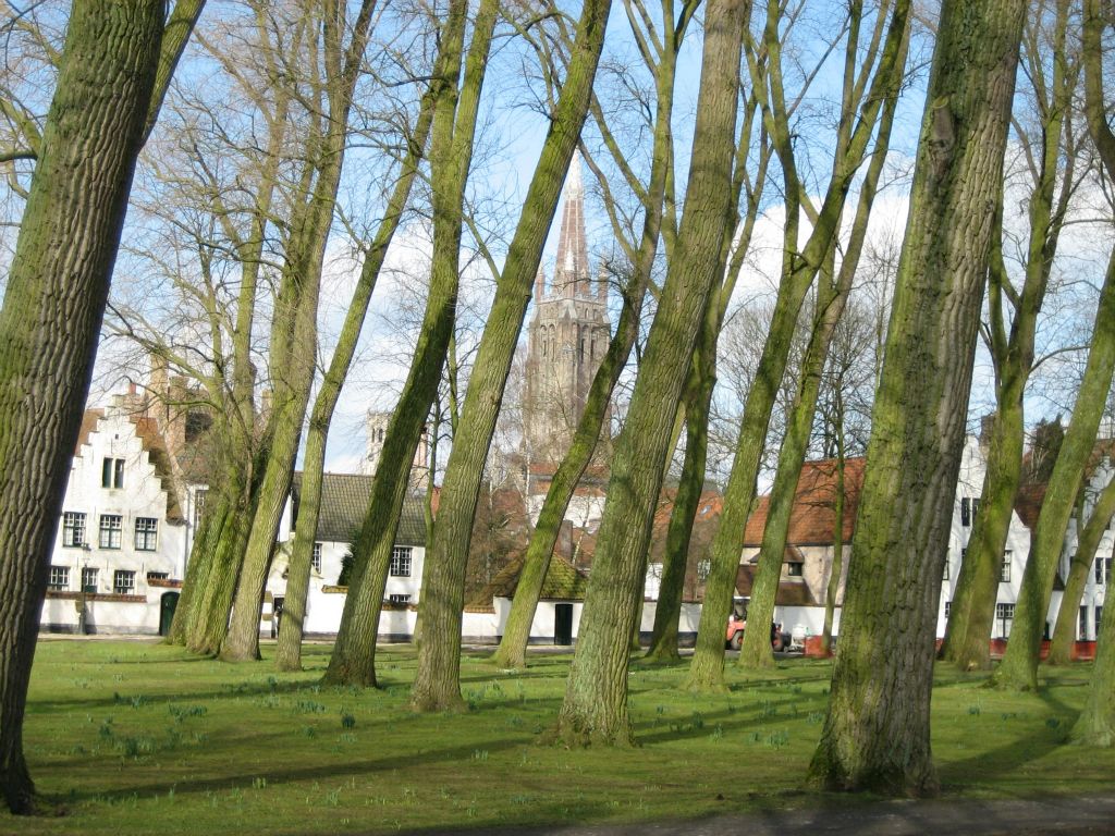 Sloping trees at the Beguinage.