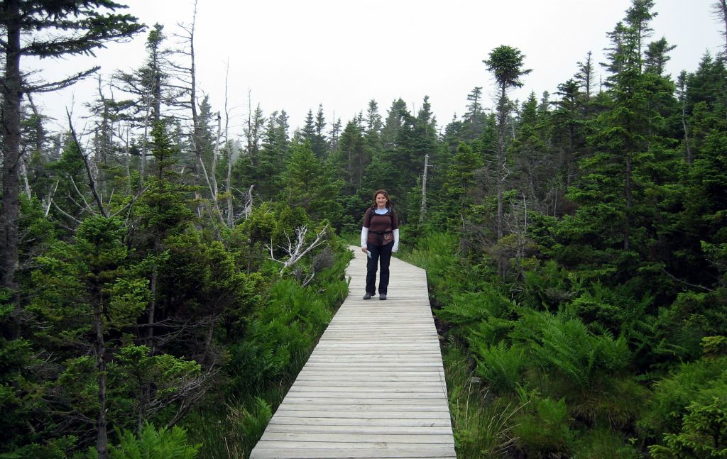 We decide to start the 6 mile "Skyline" trail anyway. This trail leads to "a dramatic headland overlooking the rugged Gulf coast" where "whales, eagles, moose and bears" may be seen. I'd quite like to see some whales, eagles and moose. Not so keen on the bears though.