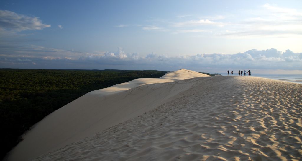 Looking south along the length of the dunes.