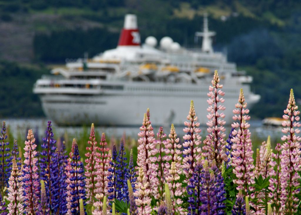 The Black Watch had followed us from Flam. I think the flowers in the foreground are lupins.