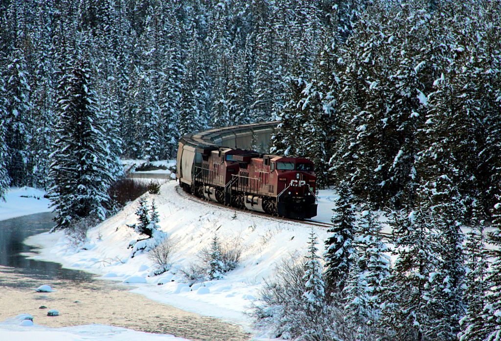 A railway line runs parallel with much of highway 1 and about ten miles from Lake Louise we caught up with and started to pass a train. At Lake Louise the line splits, going north towards Jasper and south towards Banff and Calgary. The southern branch of the line passes my much visited Morant's Curve.With a 50/50 chance that the train would be passing Morant's Curve, I simply had to head there for the chance to break my duck. And five minutes after we parked, the train arrived. Woo hoo!Here it is, appearing around the curve.