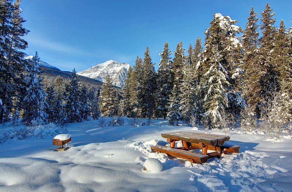 Wednesday - It was time to leave Baker Creek, but there was just time to pop out in the early morning sunshine to take a few more photos before we headed off.This picnic table in on the (snow covered) meadow between the resort and the railway line.