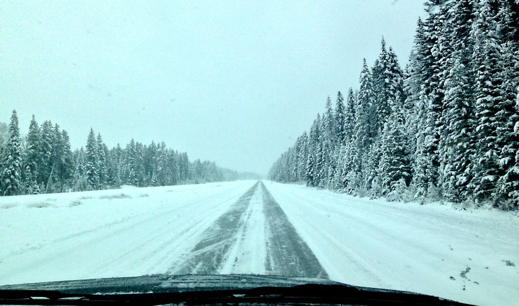 Highway 1 was also very snowy, but at least it had been ploughed and there was a sort of clear lane to drive on.