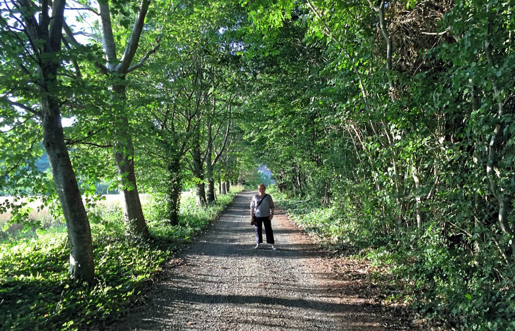 We parked back at our gite and headed for the chateau. Turned out the drive was 0.6 miles long so it took a bit longer to get there than we anticipated. Here's Judith on a shady bit of the drive (which was nice because it was still rather warm out).