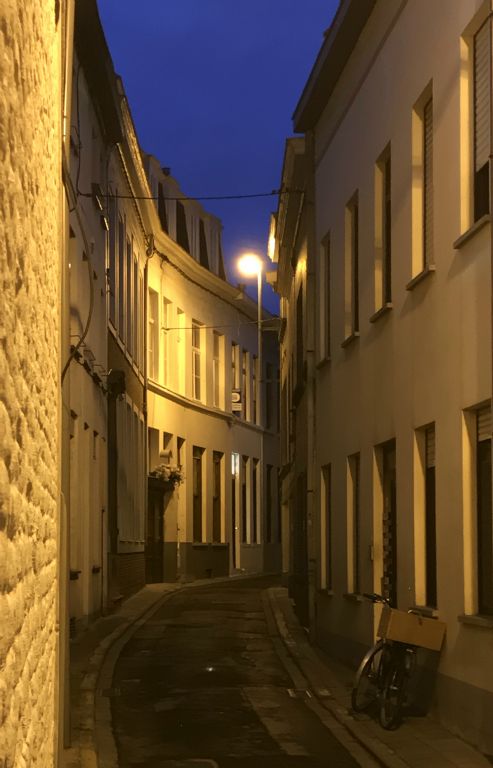 This street was very poorly lit and presented an excellent challenge for the Low Light mode of my Pro Camera app. Considering the photo was taken handheld, I think it's done a pretty good job with that.
