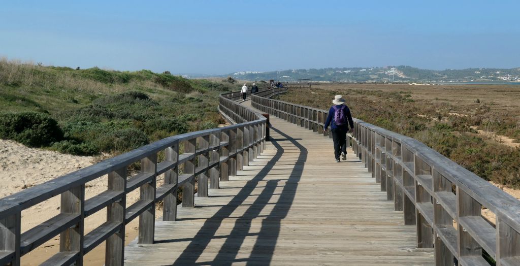 Thursday - We decided to go and have a walk on the Alvor Boardwalk, which passes through allegedly wildlife rich dunes.