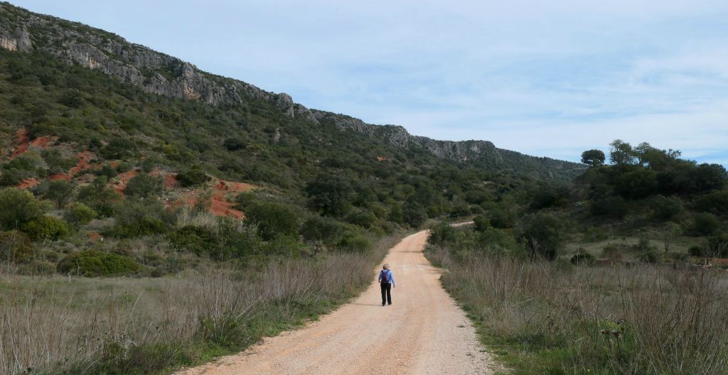 Friday - Our last full day so it was my last opportunity to get out and do a "proper" walk. It took nearly an hour to drive to the Rocha da Pena, which is a 500-foot-or-so high escarpment.Judith had no desire to walk up the escarpment, but joined me on the first bit of the walk to a bar, where she entertained herself for an hour.