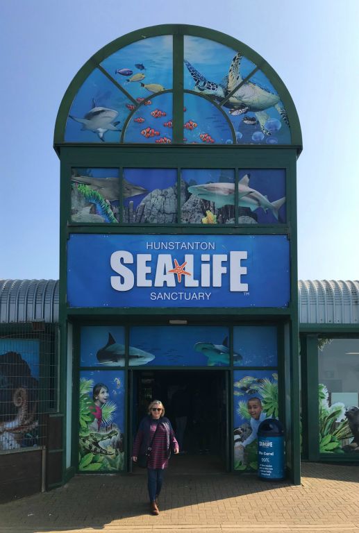 However, we were here primarily to visit the Sea Life Sanctuary. We had a voucher for 30% off the entrance fee, but it still cost us £16 each to get in, which seemed a bit steep. Fortunately it was very entertaining.