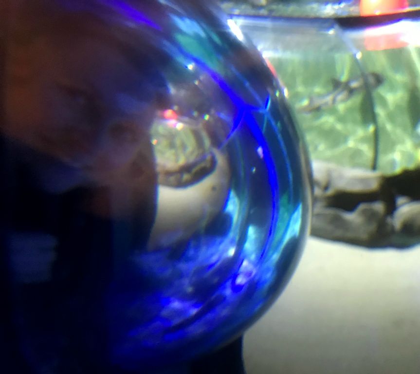 Judith with her head in an observation bubble, taken by me with my head in an adjacent observation bubble.