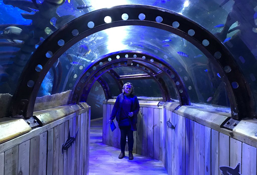 The obligatory underwater tunnel that all aquarium type things must have now.