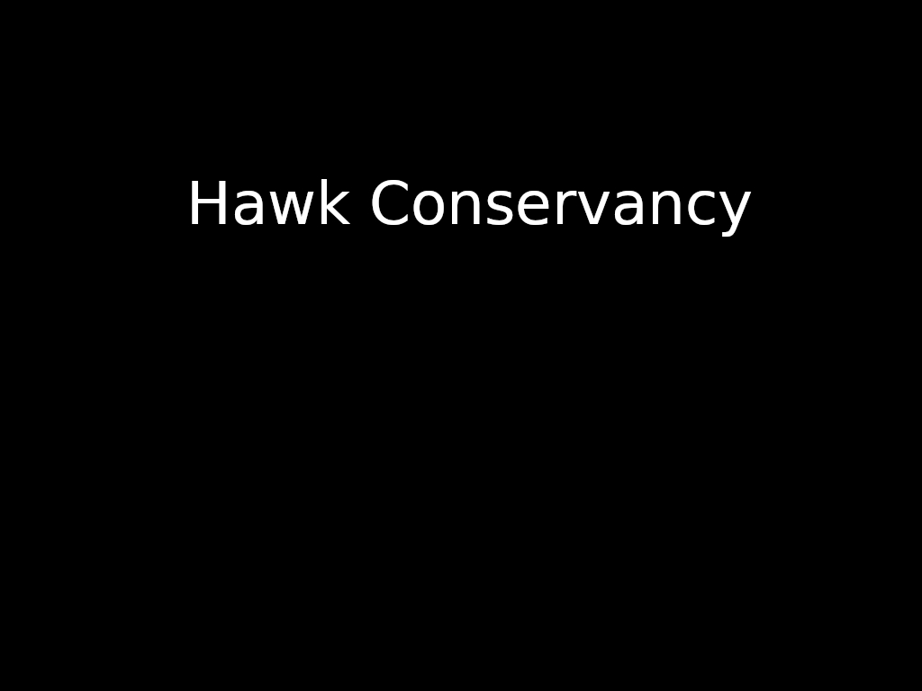 We'd driven past the signs for the Hawk Conservancy on the A303 near Andover loads of times but never actually visited, so we thought it was time we fixed that.