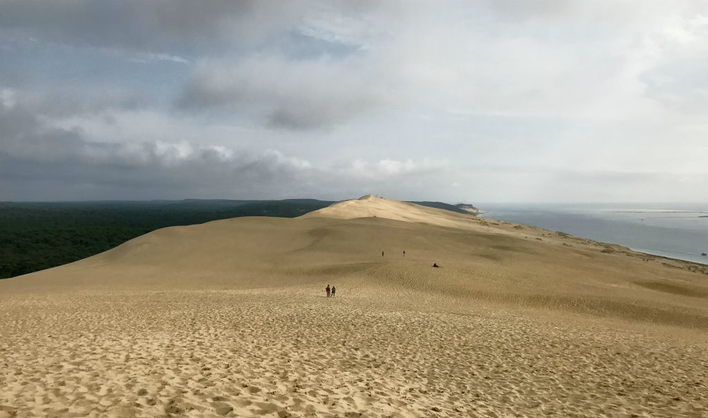 The view along the top of the dune, looking south.